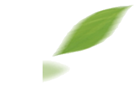 kai云体育app官网版下载苹果